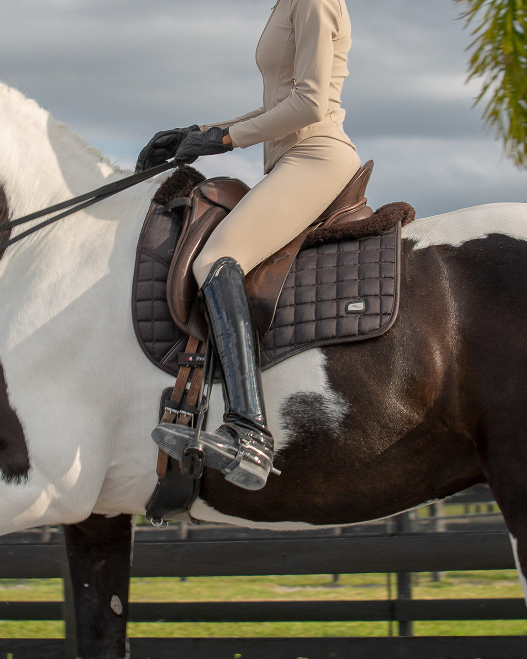 Compression Pull-On Breeches Tan image