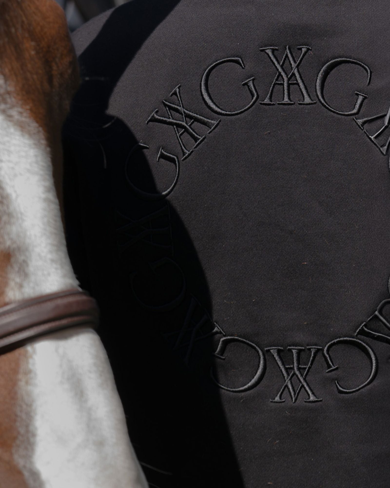 Embroidered Sweatshirt Black image