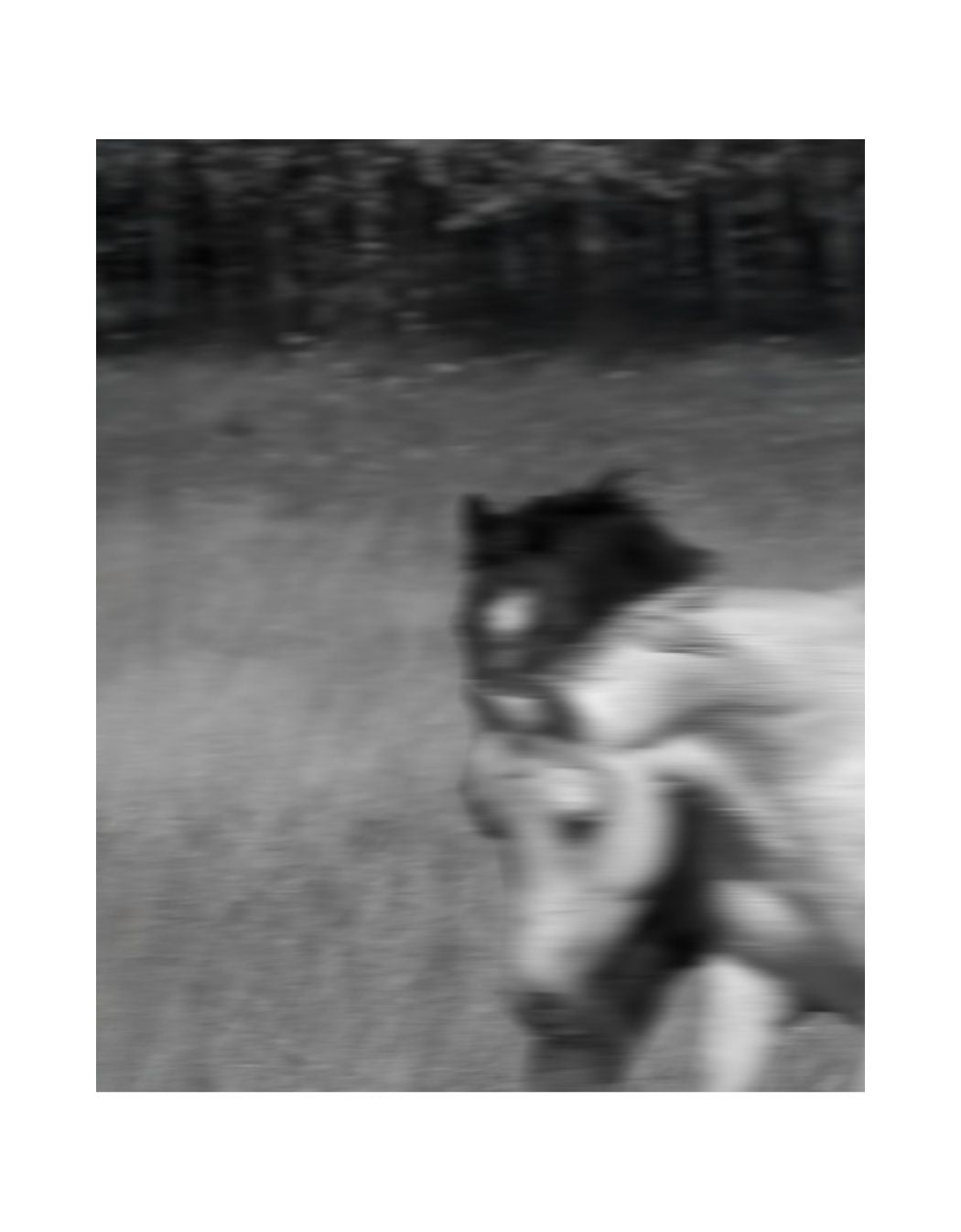split-banner image