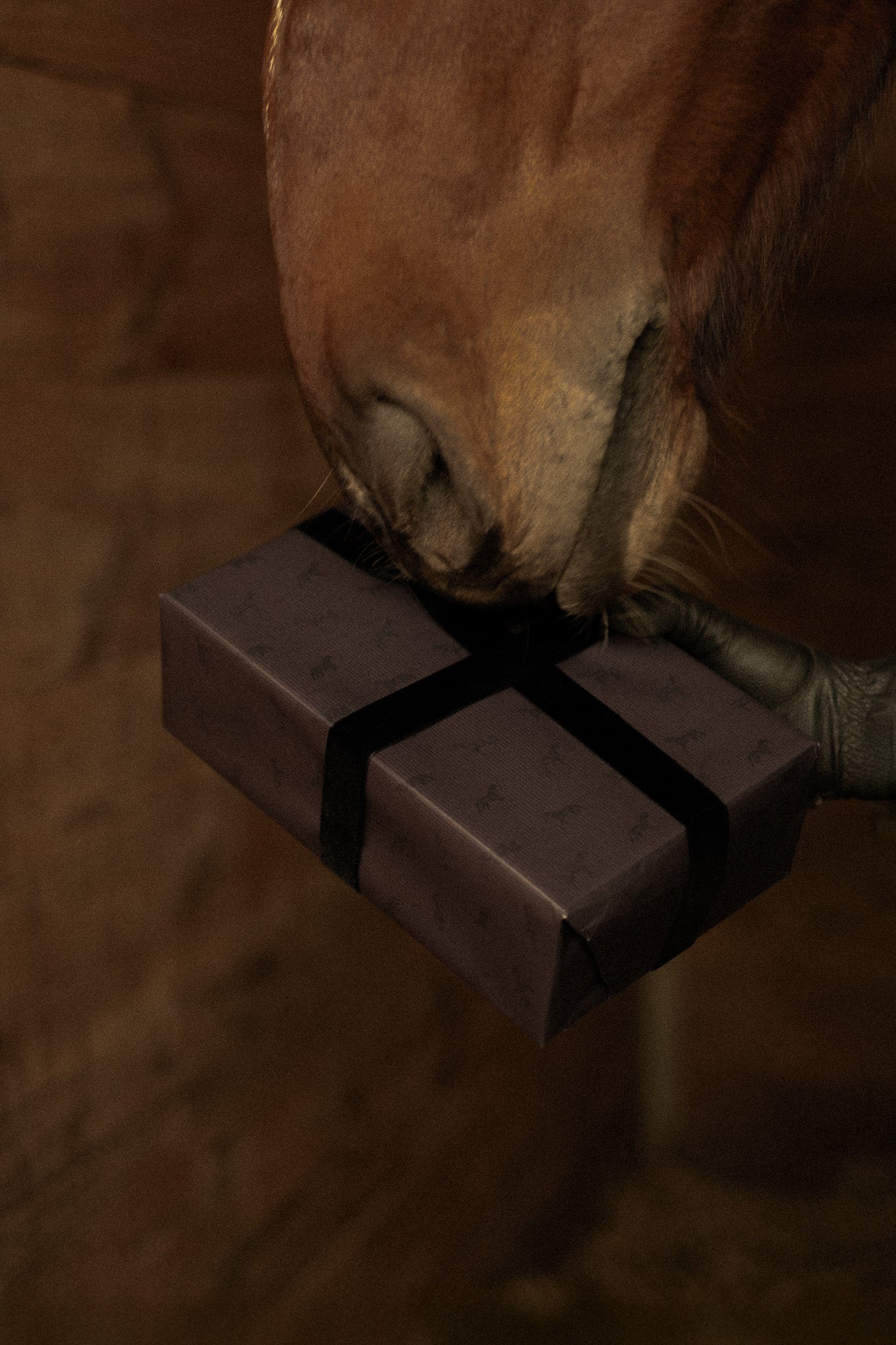 <p>Gifts for the riders who matter most.</p> hero image