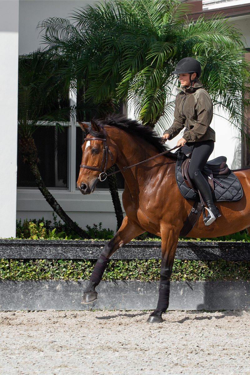 Windproof Riding Jacket Green image