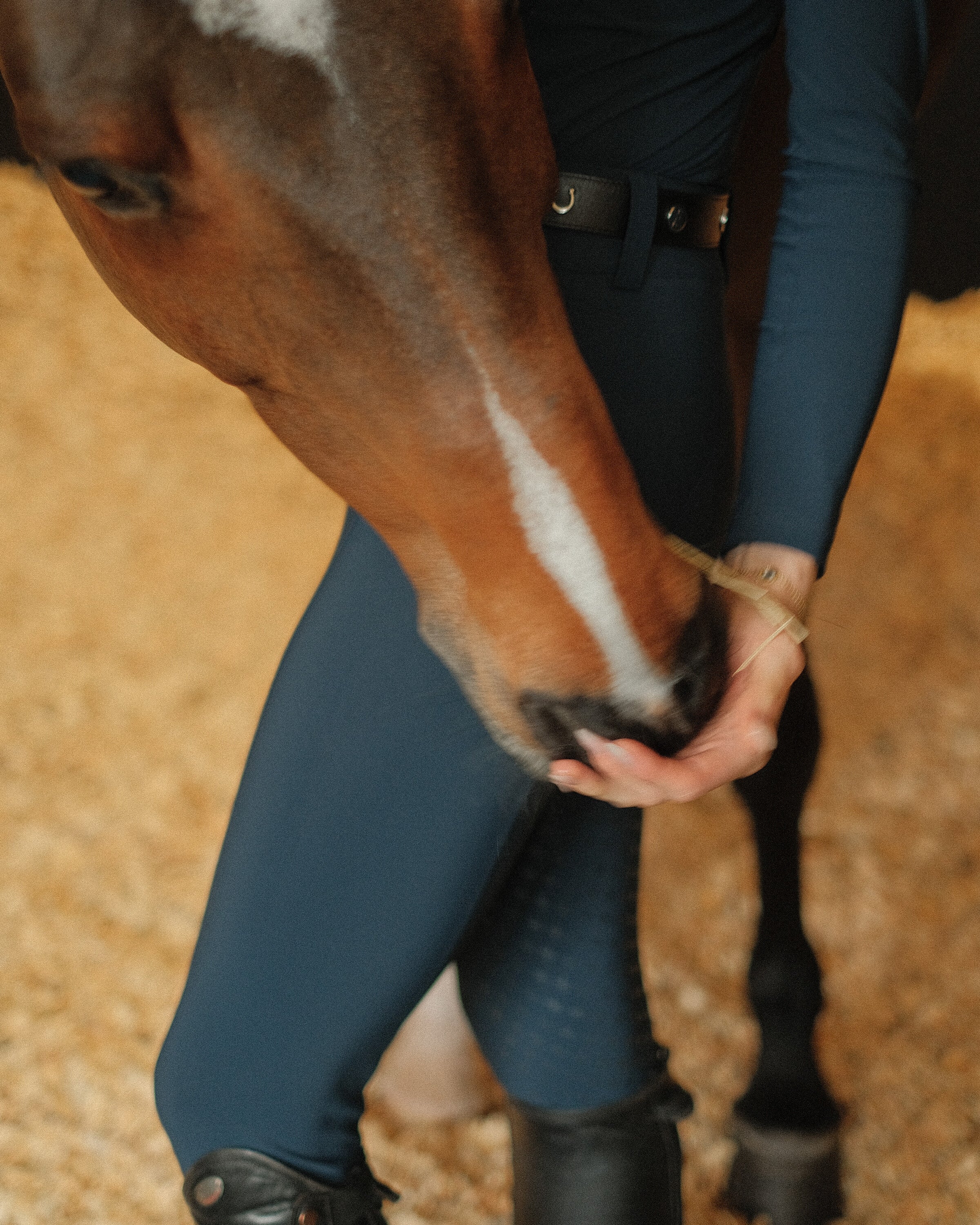 Riding Breeches card image