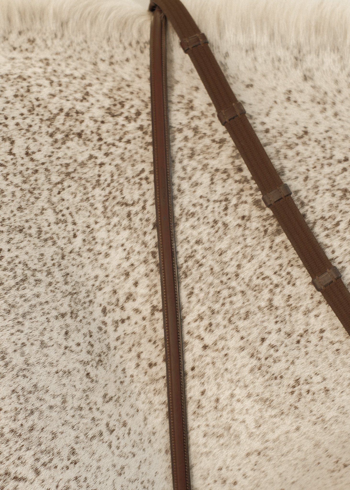 <p>Crafted for the Rider.</p> hero image