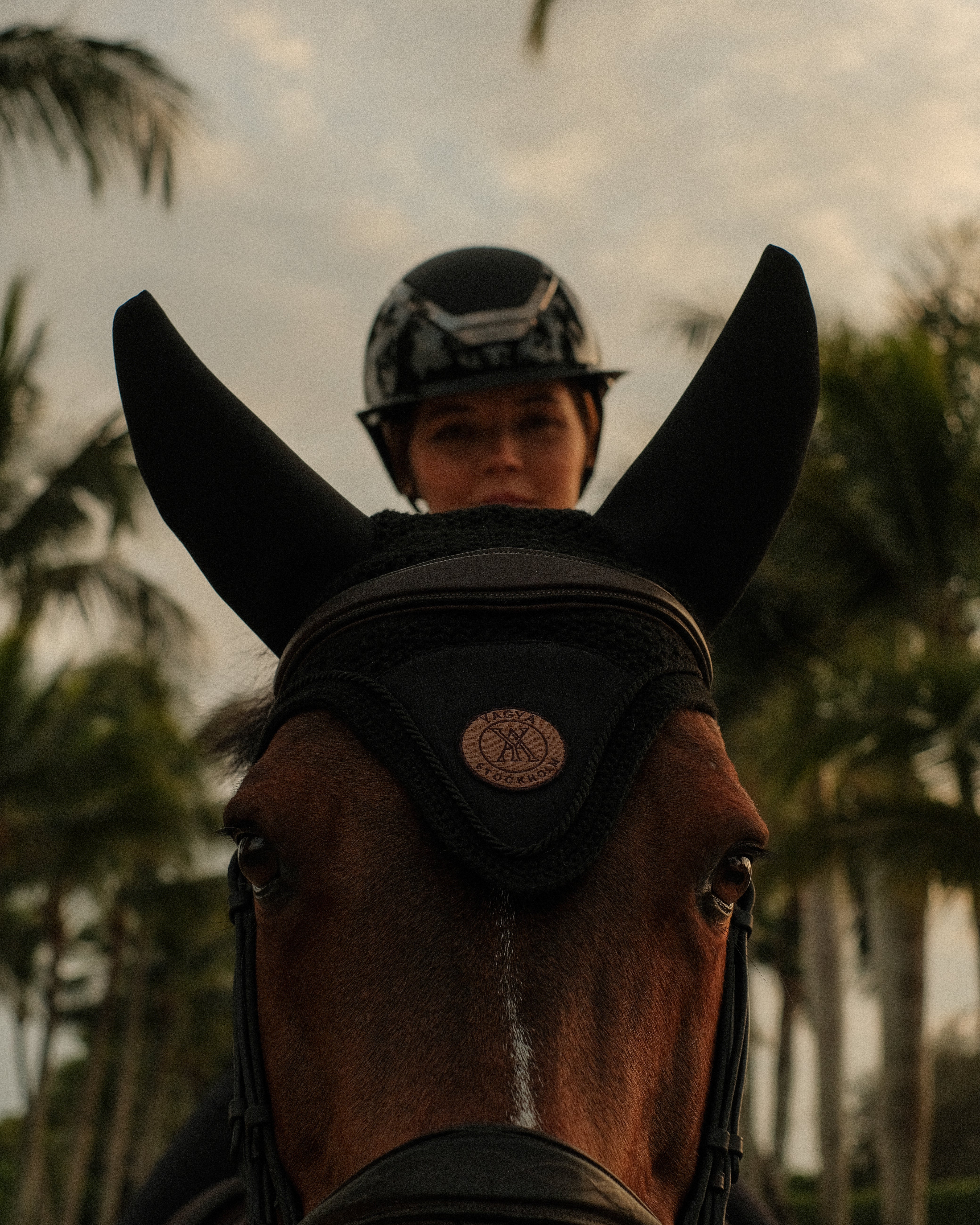 <p>Horsewear</p> hero image