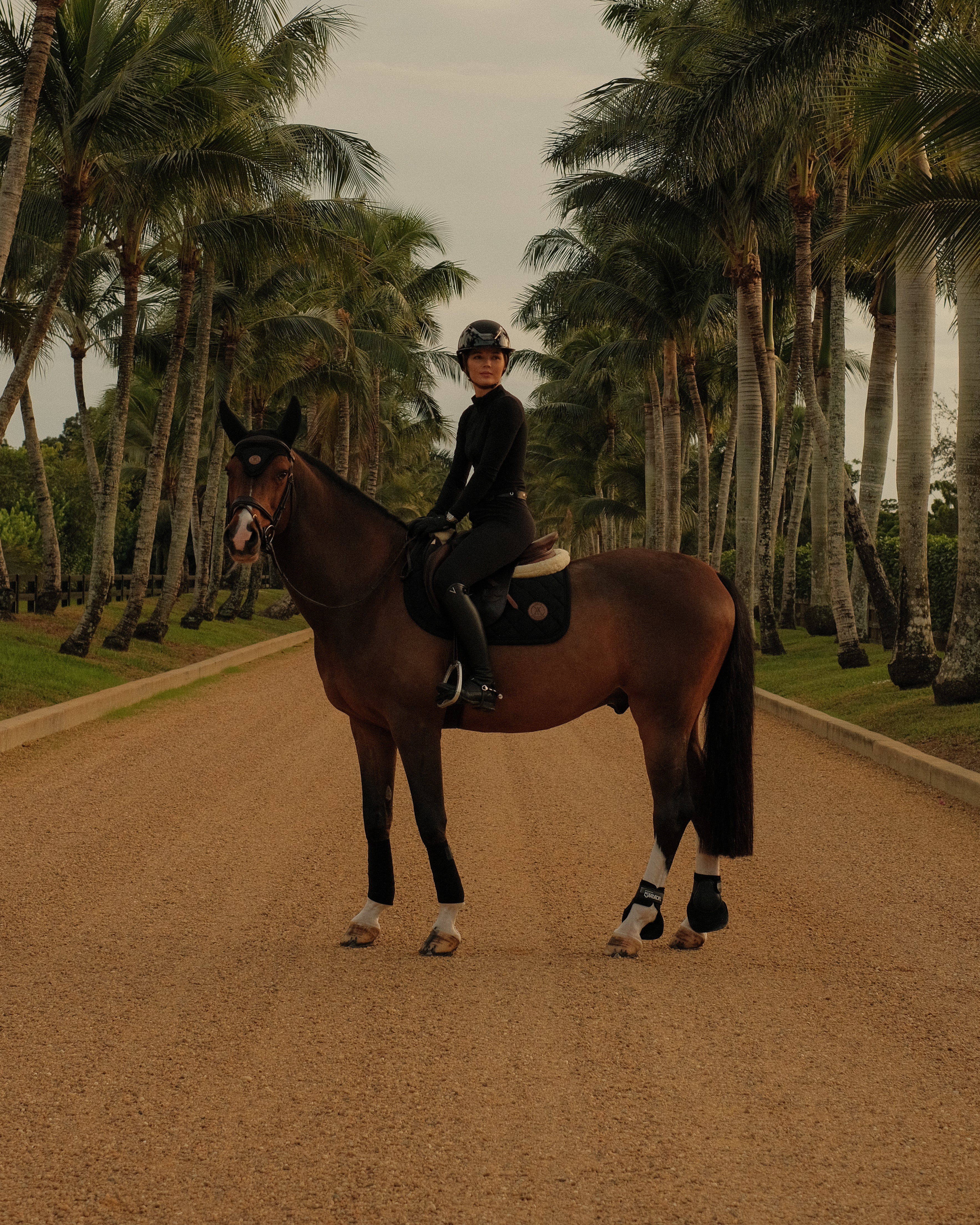 Performance Saddle Pad Black image