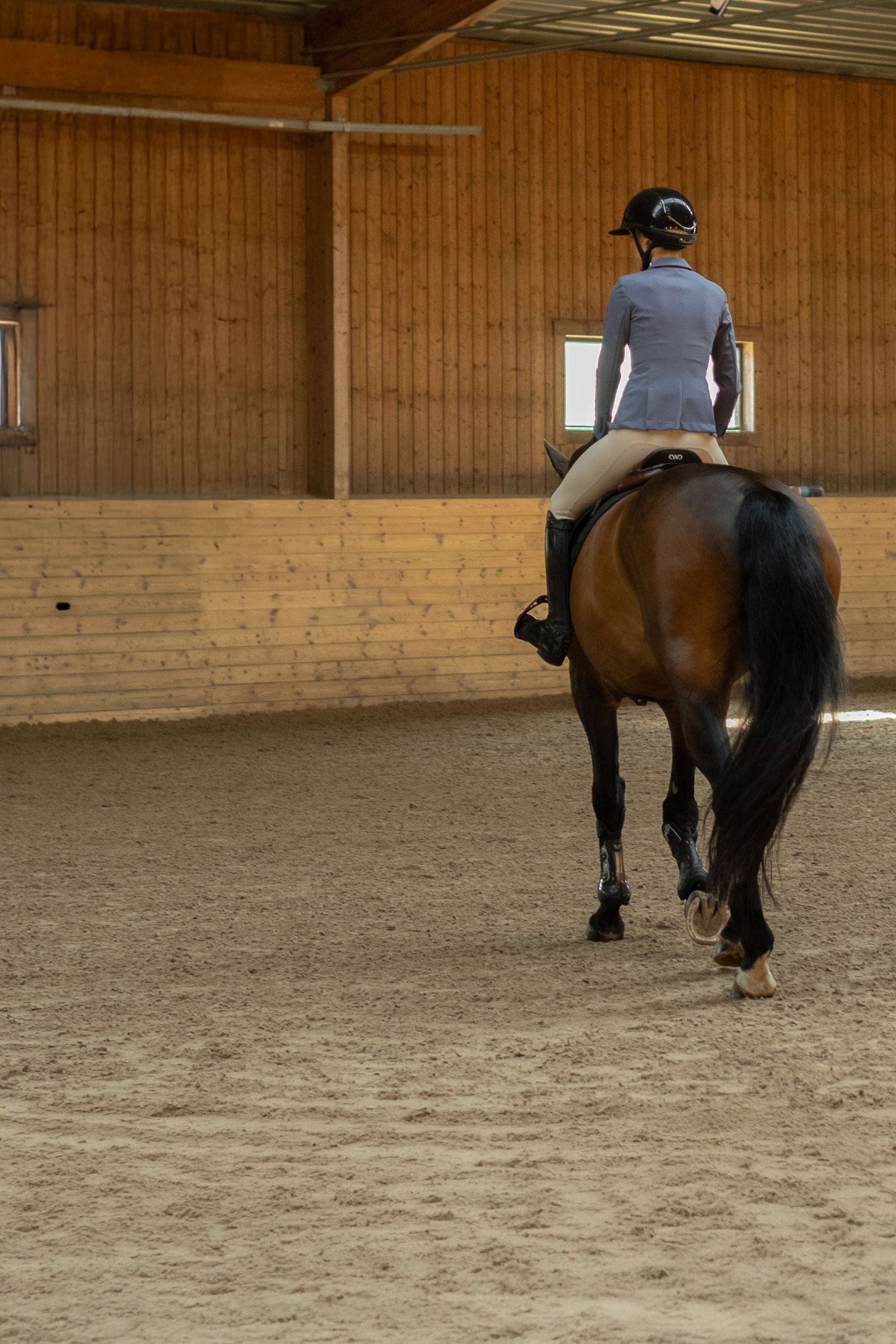 <p>Shaping the Next Generation of Swedish Riding</p> hero image