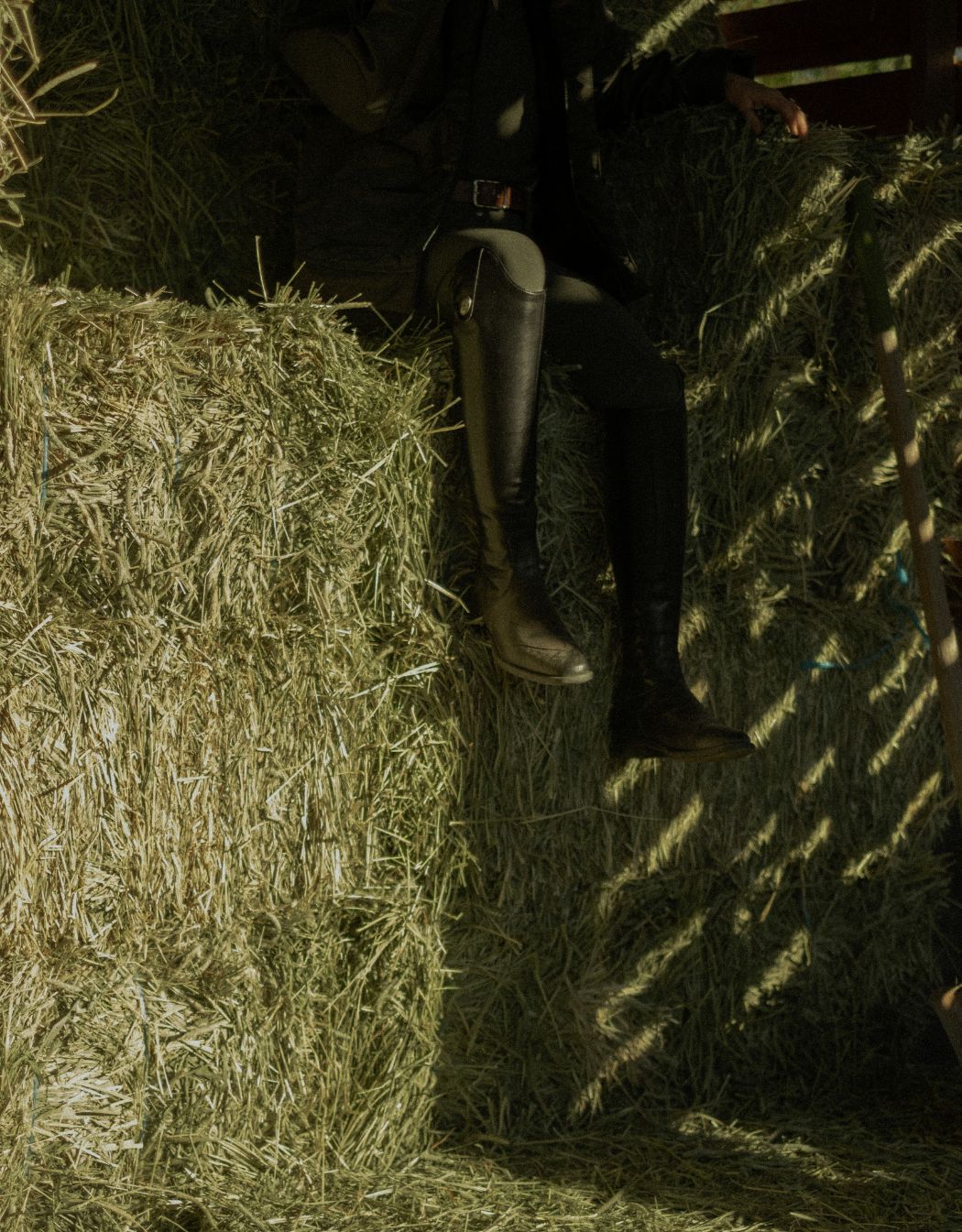 split-banner image