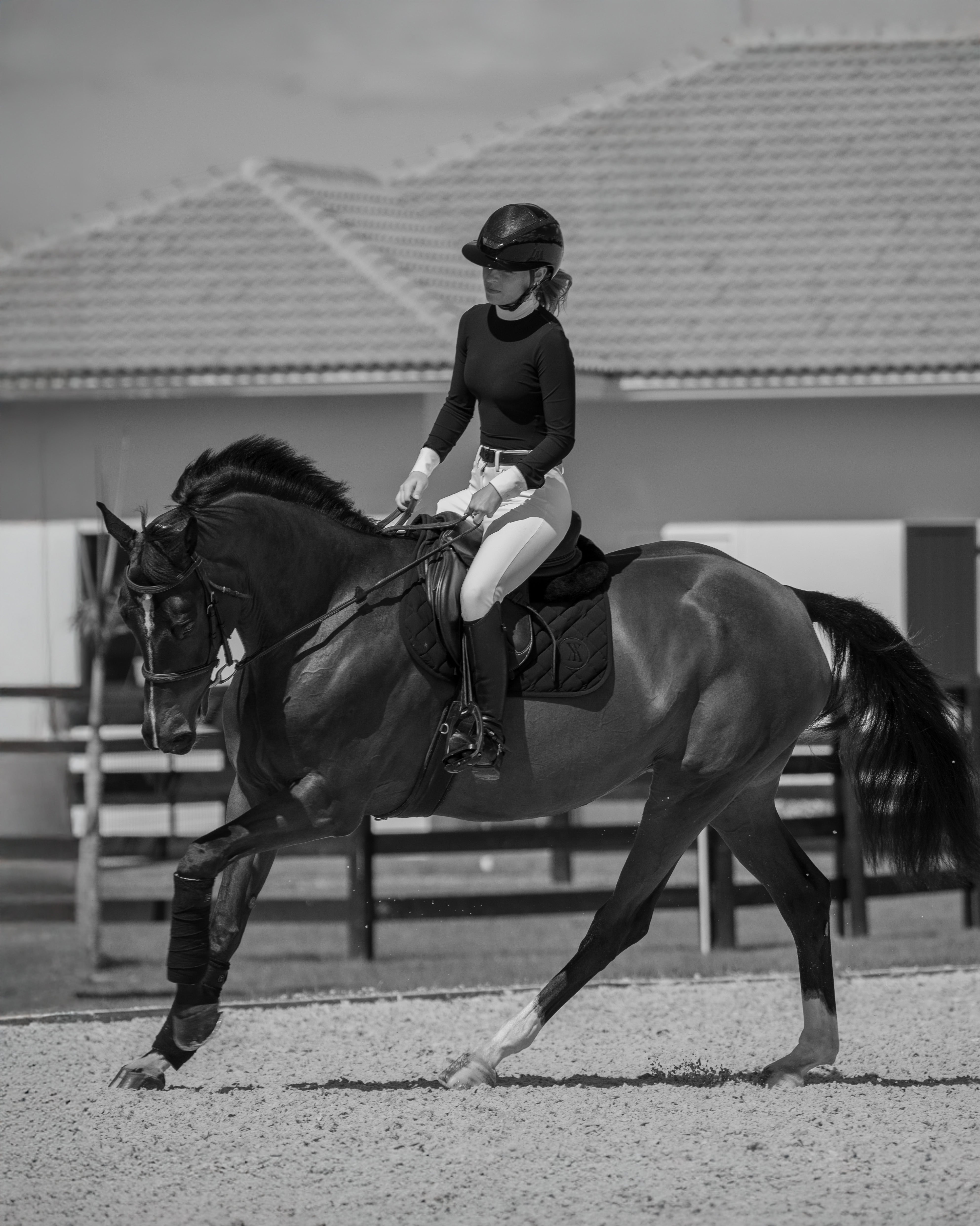 The Timeless Collection card image