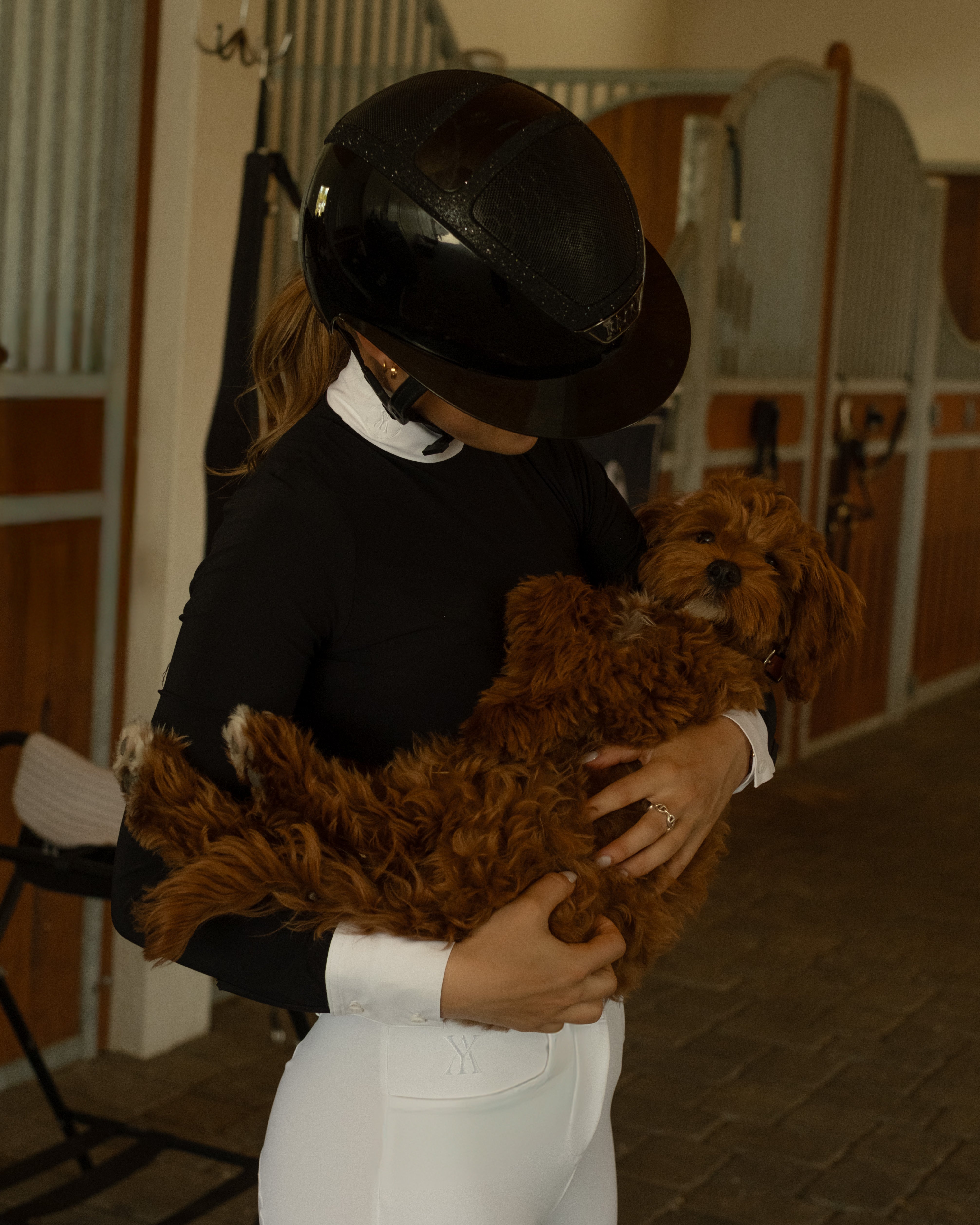 The Timeless Collection card image